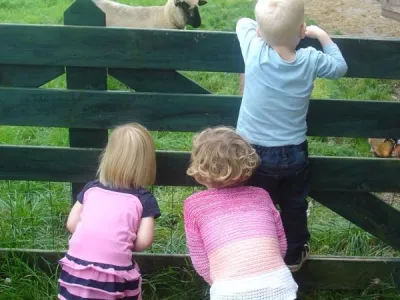 dierendag peuterstartgroep Stichting Kinderopvang Noordoostpolder SKN