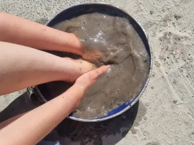 Kinderdagverblijf De Guppies