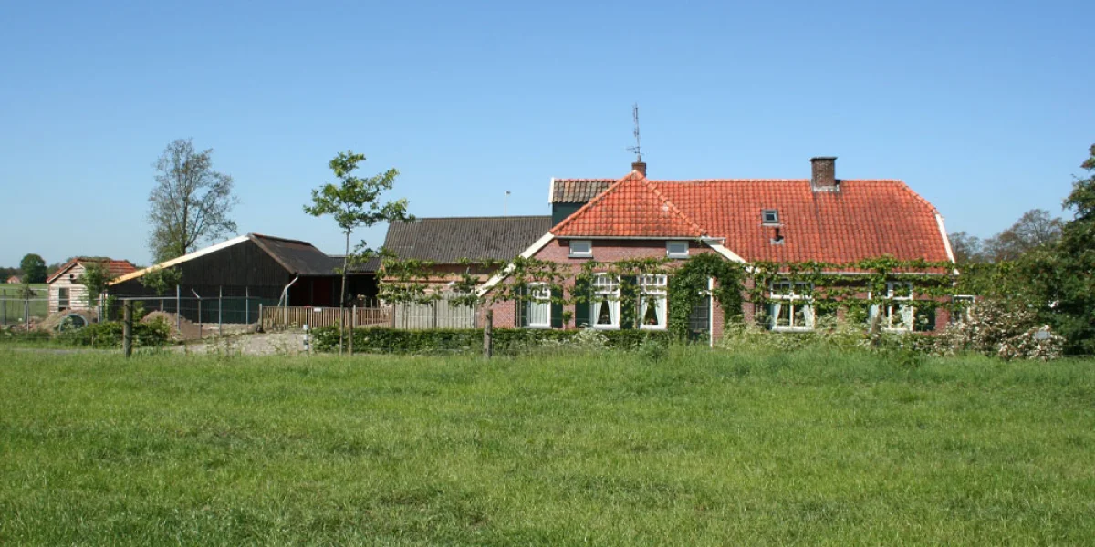 De Bezige Bijtjes