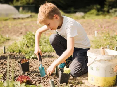 Holland Kinderdagverblijven