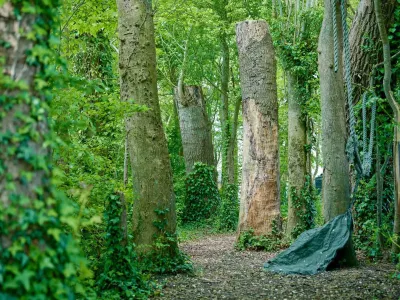 Bos-speeltuin voor kinderen
