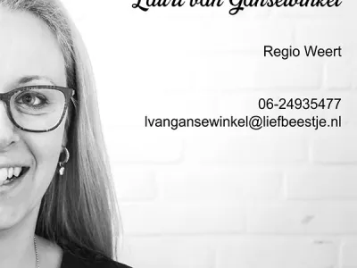 Lauri 2023-