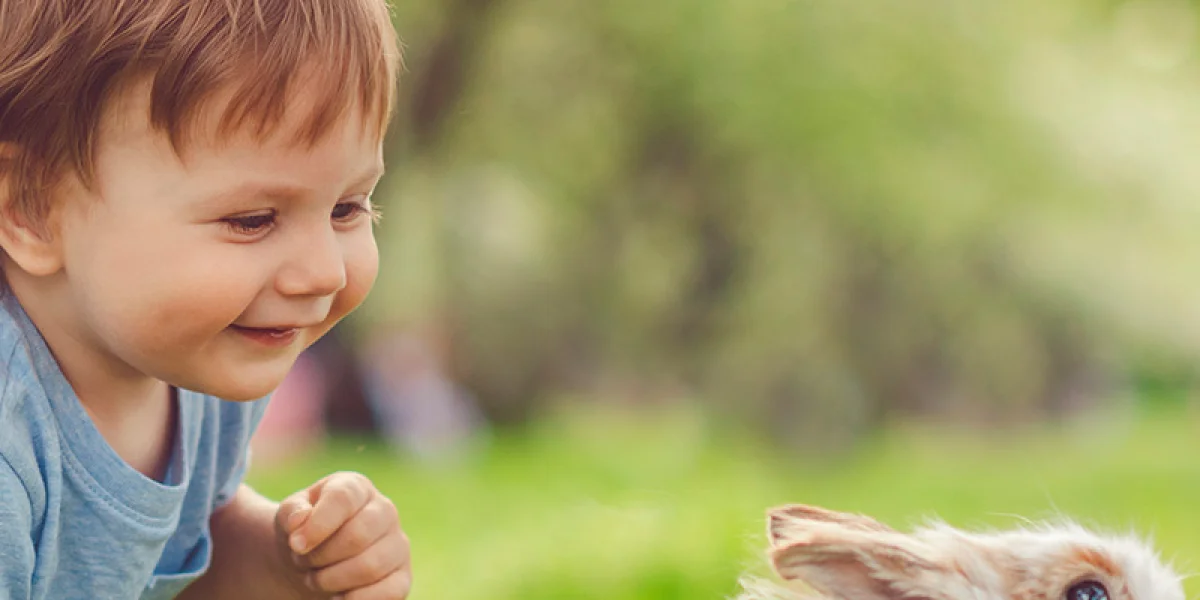 Kinderopvang De Buitentuin