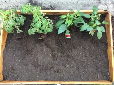 Kinderopvang NatuurlijkThuis
