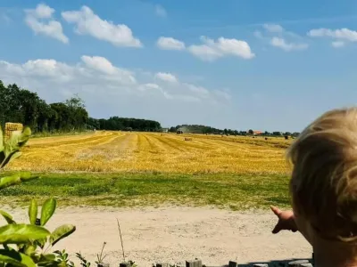 Opvang op de boerderij