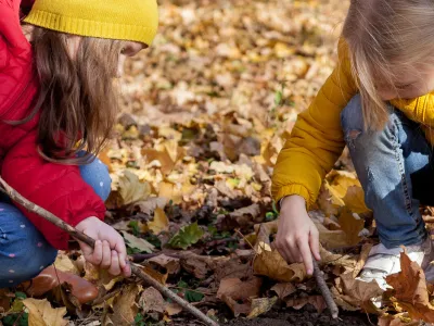 Children hiking in the forest. Two girls exploring nature in the woods on warm autumn day. Outdoor recreation and awesome adventures with children in fall