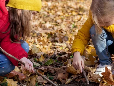Children hiking in the forest. Two girls exploring nature in the woods on warm autumn day. Outdoor recreation and awesome adventures with children in fall