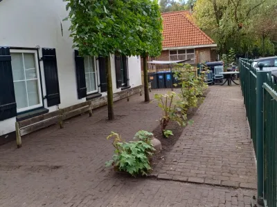 Eigen&Wijzer BSO de CultuurWijzer