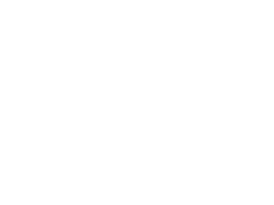 Dribbel