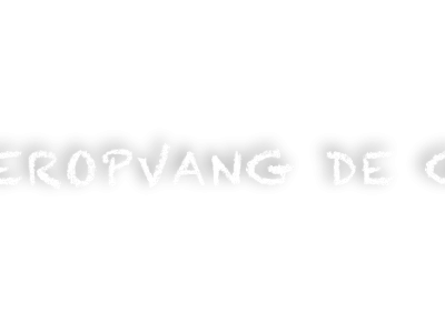 Kinderopvang De Groene Zwaluw - locatie Raayerhof