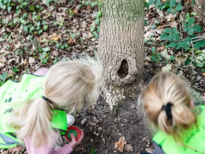 20221010 De Groene Zwaluw bos-2