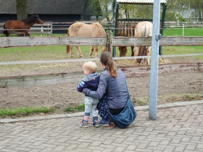 Bij de paardjes kijken