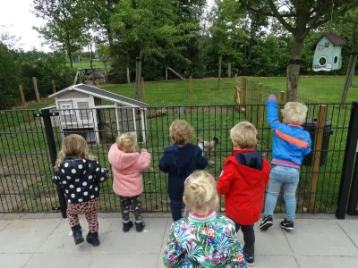 De Kikkerpoel