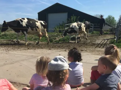 de Loeiende Koe