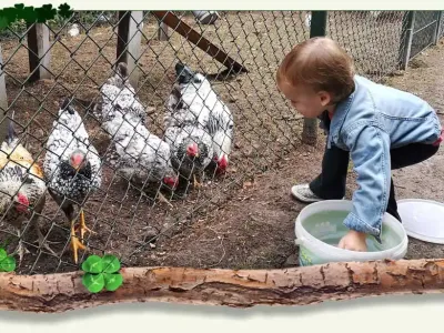 Kinderopvang 't Klavertje