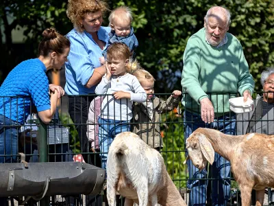 Kinderdagverblijf De Bonte Koe