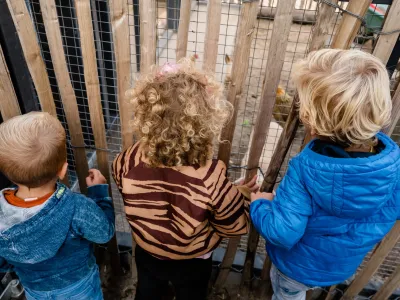 Kinderopvang de Boomgaard locatie Langevelderweg B.V. (BSO)