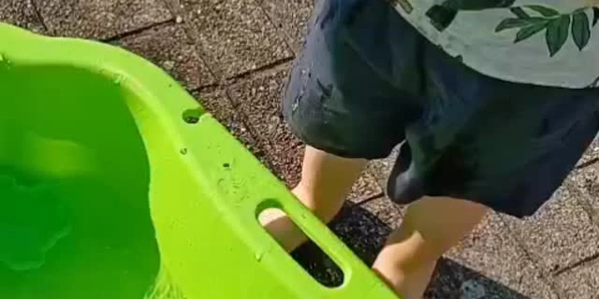 KDV Okidoki