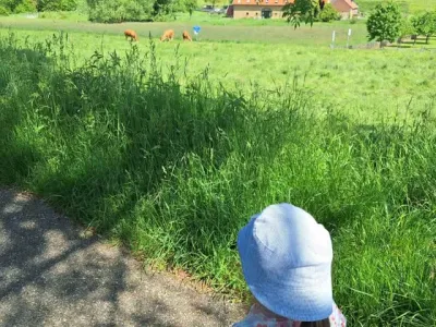 Rondje wandelen rondom ons KDV 😎☀️👌🏻 #kleinschaligekinderopvang #buiten #natuur #motorischeontwikkeling