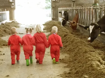 KinderopvangKoerine v.o.f.