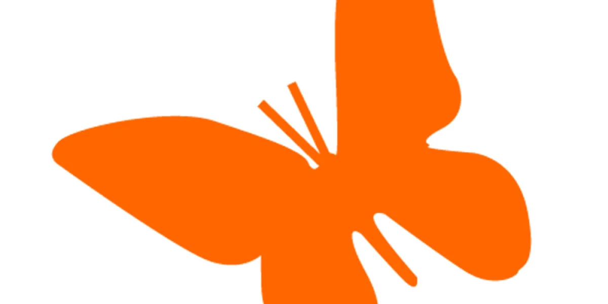 Kinderopvang De Vlindertuin B.V.