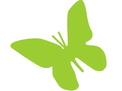 Groene Vlinder vierkant Kinderopvang De Vlindertuin Amersfoort