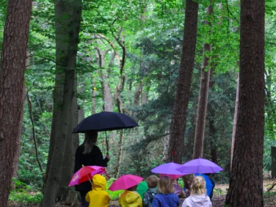 Kinderopvang De Vlindertuin B.V.