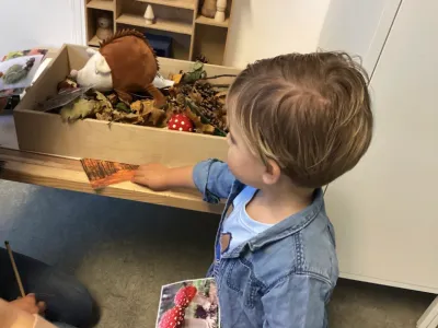 Kinderopvang de Boomgaard locatie van der Weijdenlaan B.V.