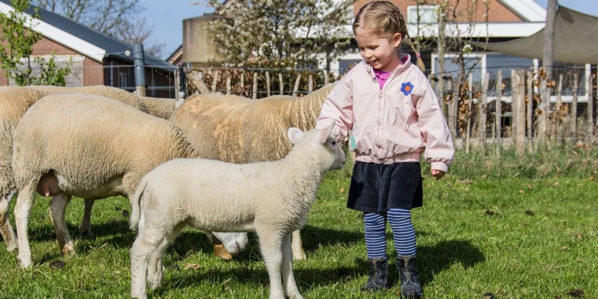 Kinderdagverblijf KidZoo