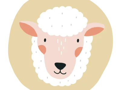 Kidzoo schaap