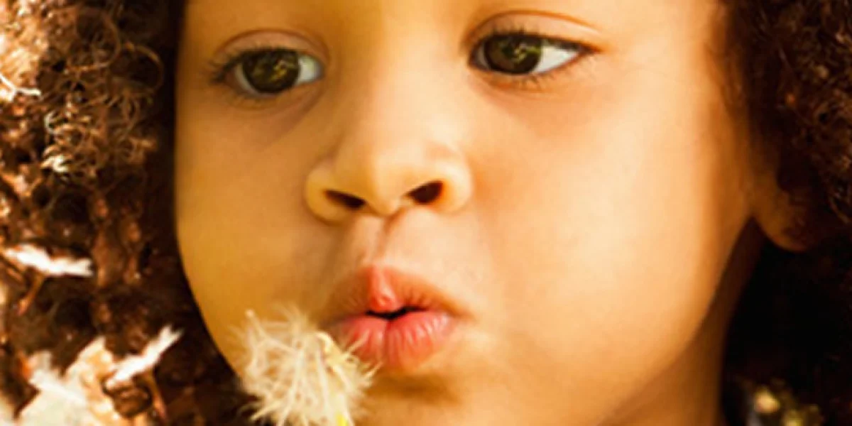 Kleine Ikke