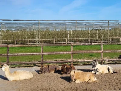 BSO Deilse Hoeve