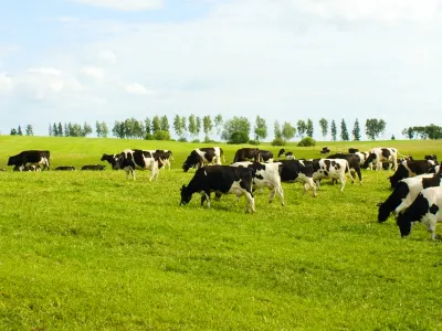 Kinderdagverblijf Natuurlijk Avontuurlijk