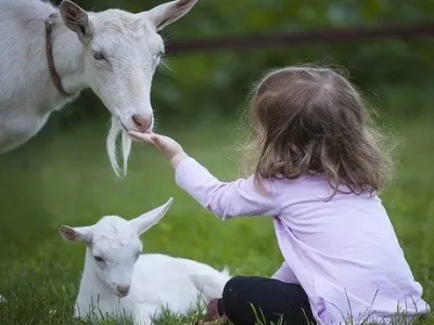 Kinderdagverblijf Skik