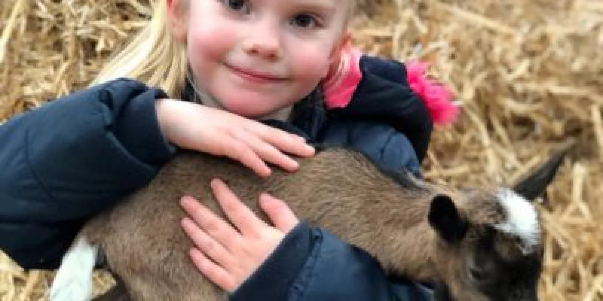 Kinderdagverblijf Skik