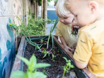 Kids and Carrots aan de Vissershavenstraat