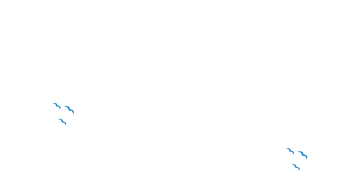 BSO IKC Driemaster