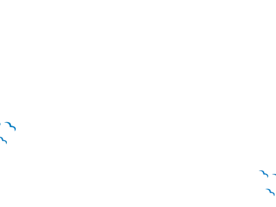 BSO IKC Driemaster