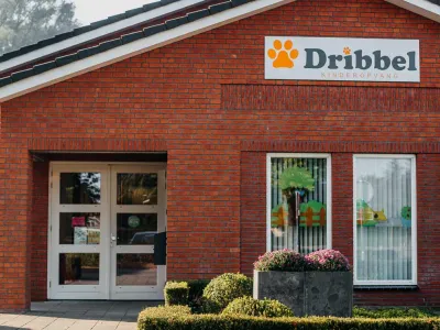 Kinderopvang Dribbel