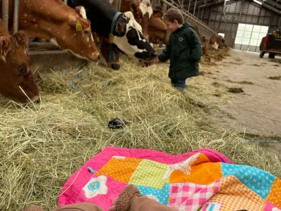 Kinderdagverblijf Hoeve Ruitenbeek B.V.