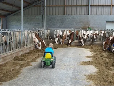 Kinderopvang 't Koetje