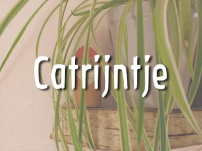 Voorschool Catootje