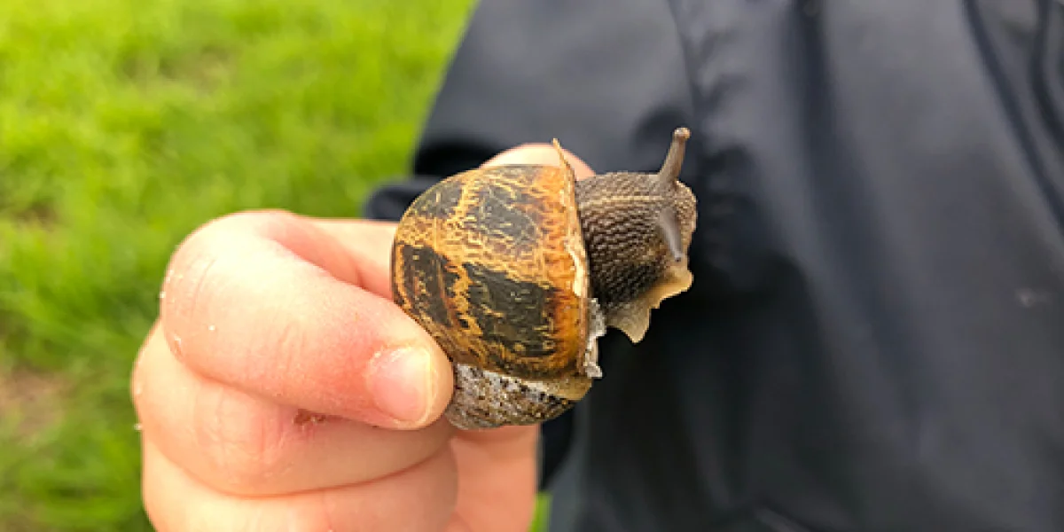 Agrarisch kinderdagverblijf De Koetjes