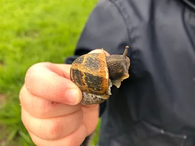 Agrarisch kinderdagverblijf De Koetjes