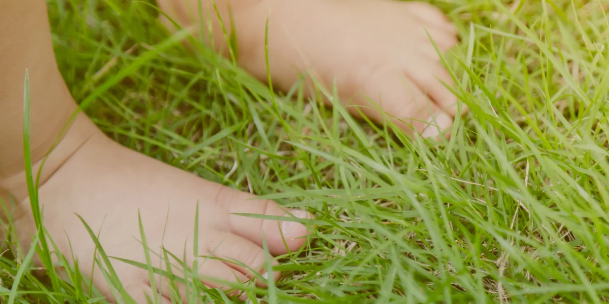 Eigen&Wijzer BSO de Klaroen