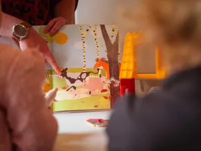 Stichting Peuterspeelzaal De Paddestoel