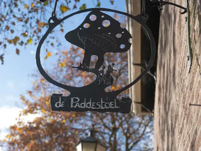 Stichting Peuterspeelzaal De Paddestoel