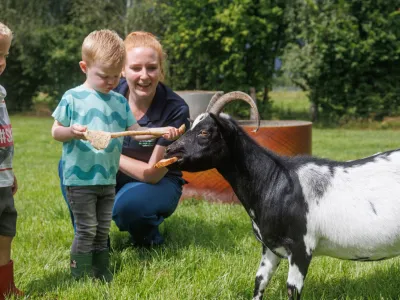 Kinderdagverblijf De Drie Biggetjes