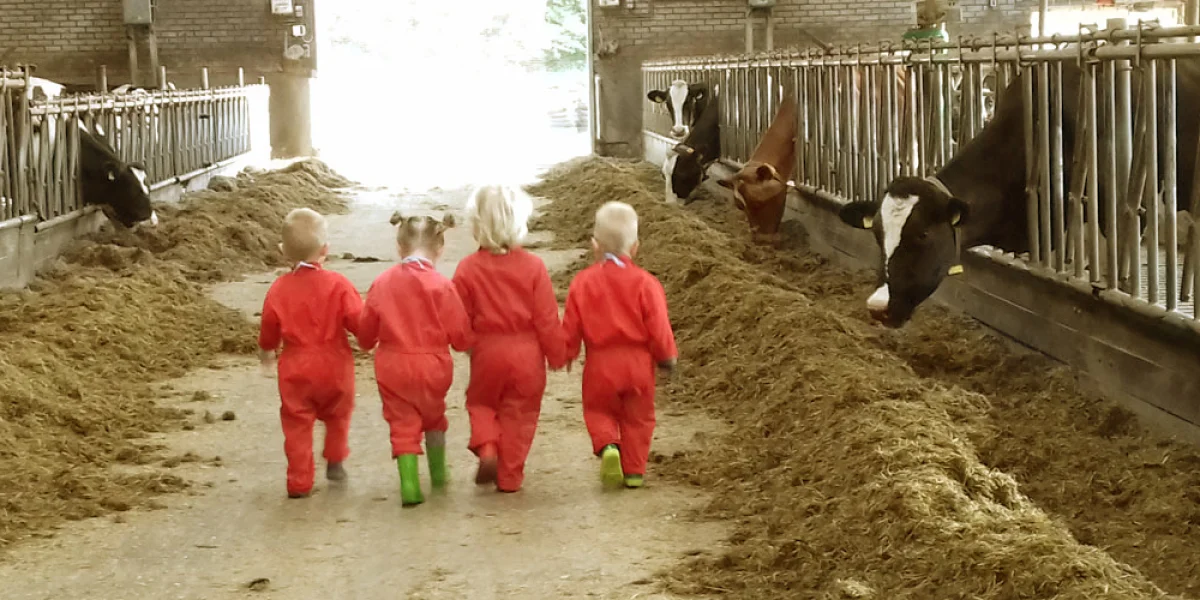 KinderopvangKoerine v.o.f.