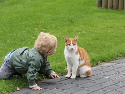 KinderopvangKoerine v.o.f.